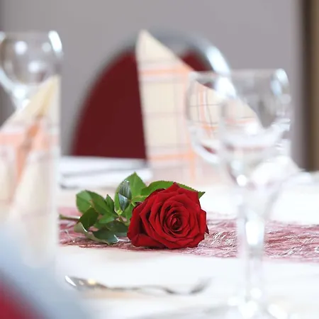 ベスト ウエスタン ローゼナウ ホテル 4*