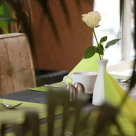 Western Rosenau Hotel 4*