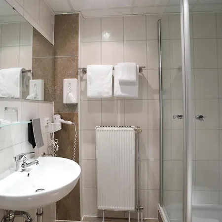 Western Rosenau Hotel 4*