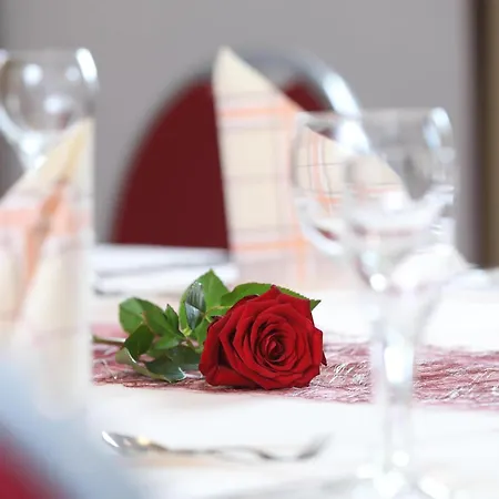 Hotel Western Rosenau Bad Nauheim